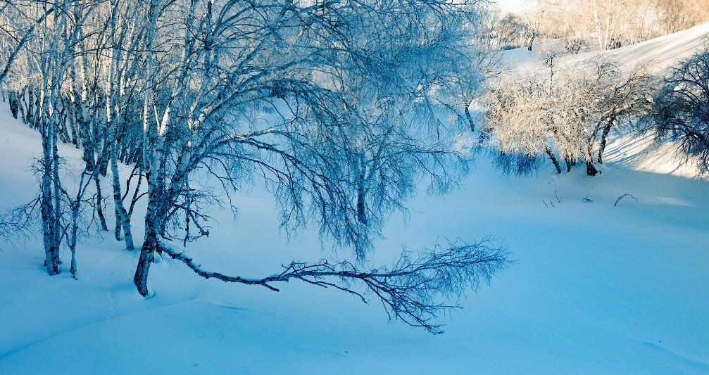 描写雾凇的美景的诗句,最经典的赞美雾凇的诗句