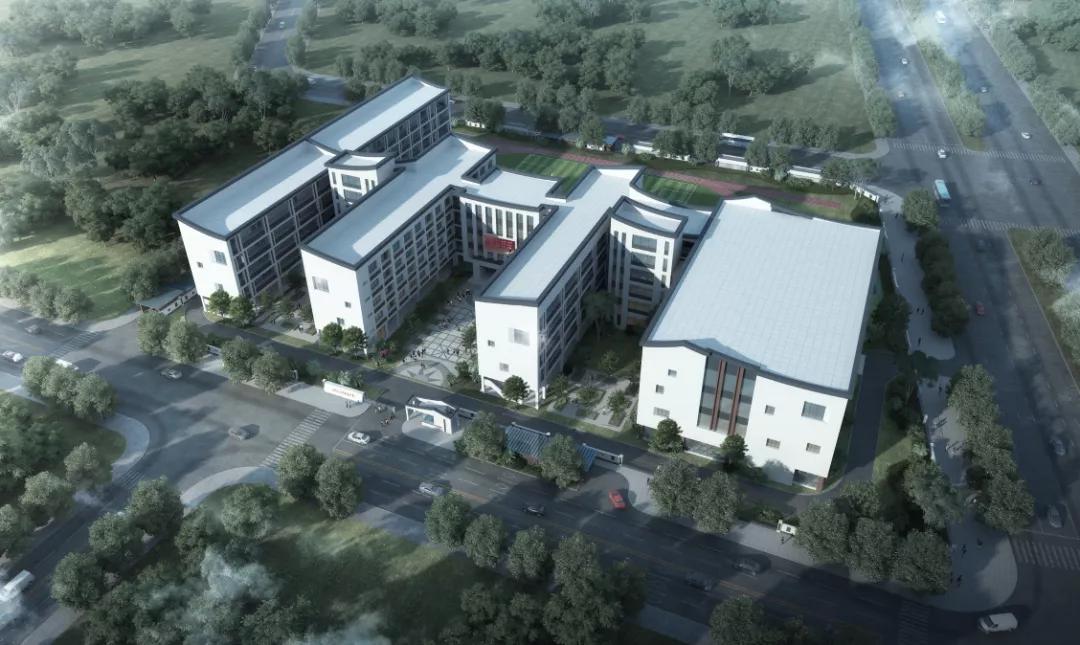 金湾学校最新消息,金湾新学校