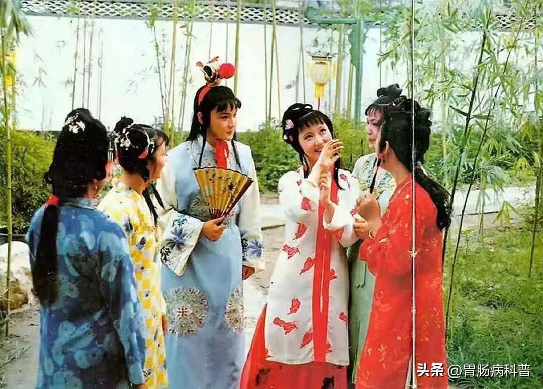 林黛玉吃的人参养荣丸有寓意吗,林黛玉人参养荣丸做法