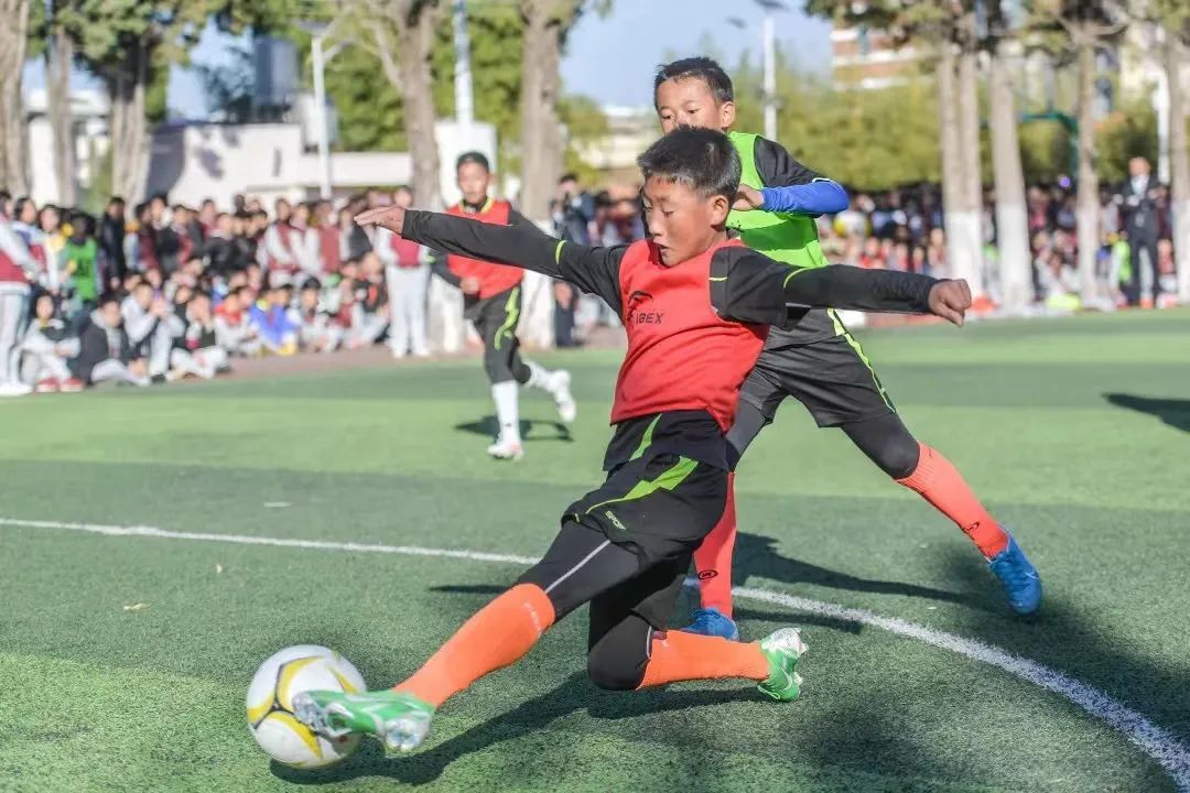 喜迎二十大|用运动谱写青春之歌