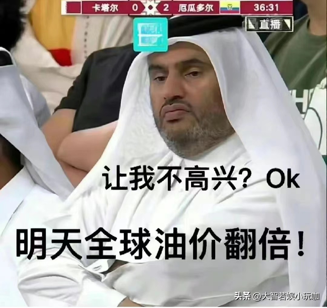 卡塔尔世界杯进球最搞笑,卡塔尔世界杯决赛搞笑版