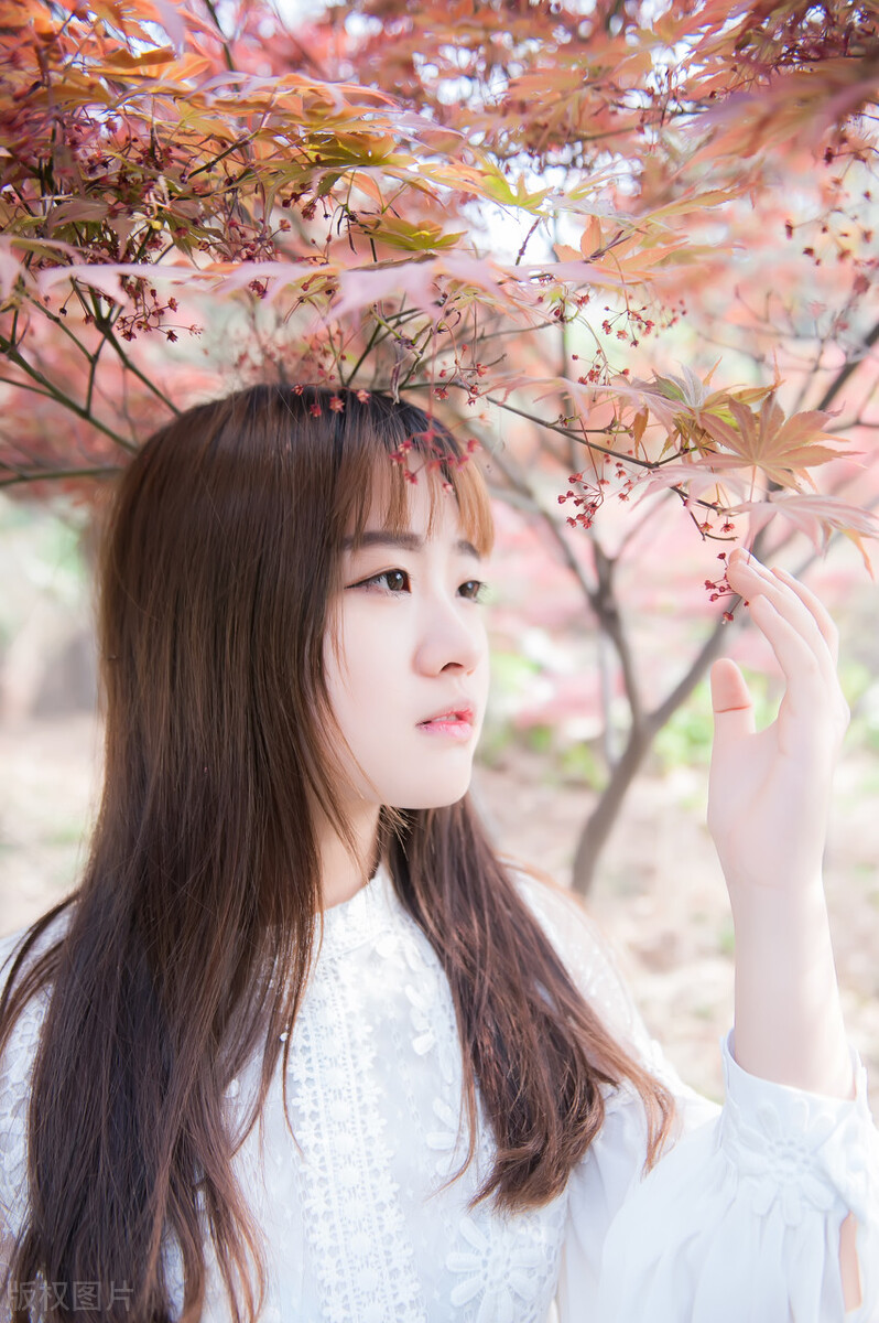 丁香花开的时候小说,小说丁香