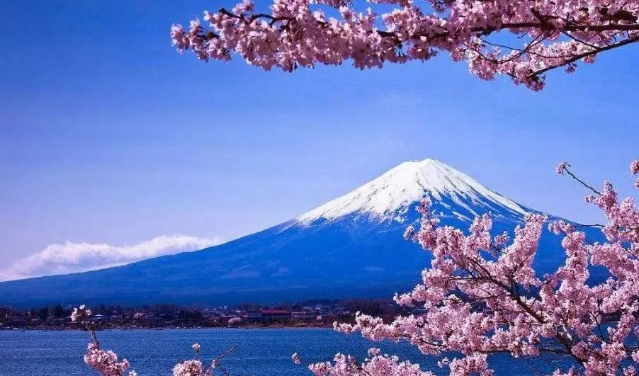 日本公司注册条件和流程变更,怎么注册日本公司和品牌