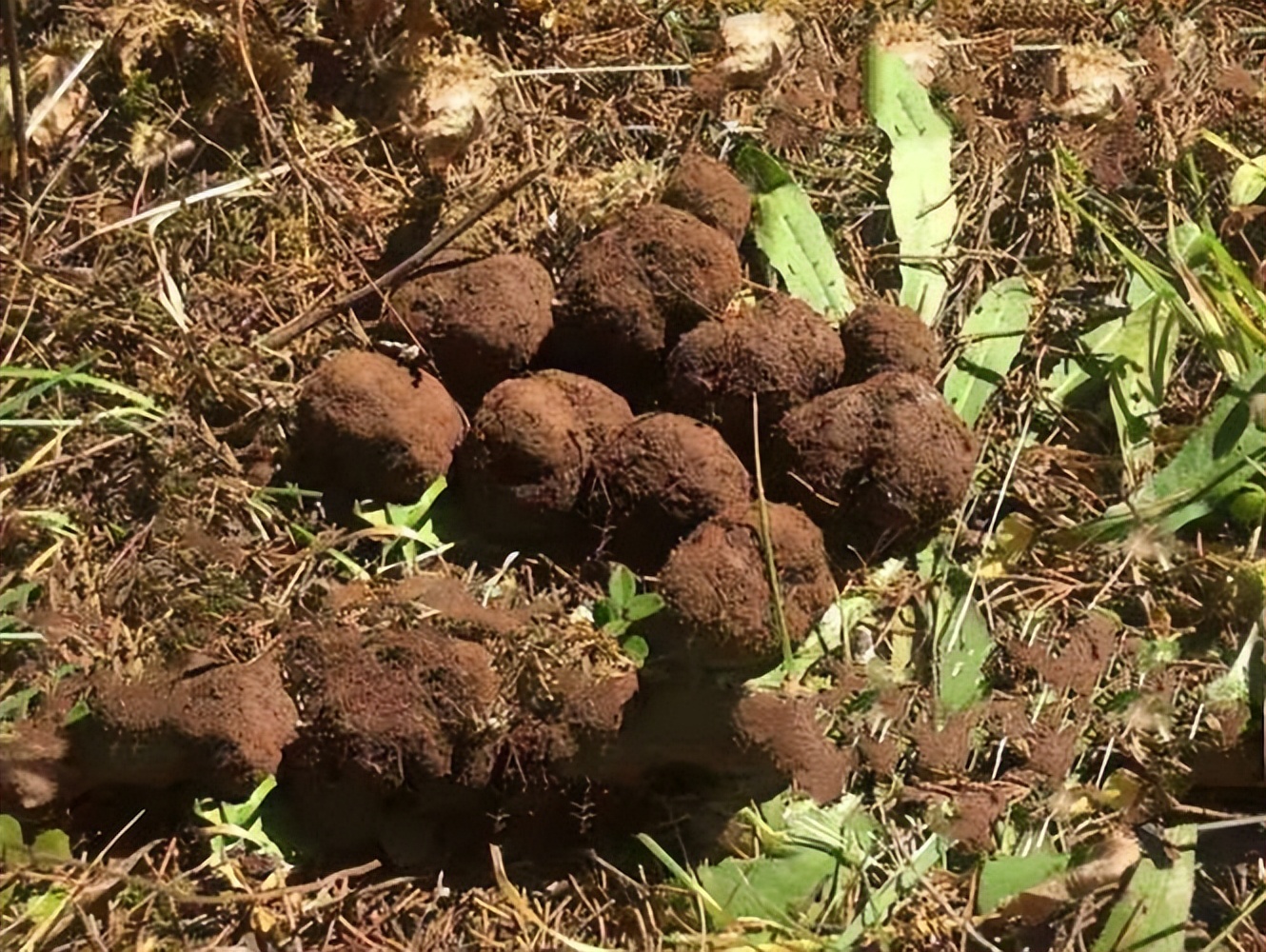 典型产品智商税,曝光5款智商税产品一次避5个坑