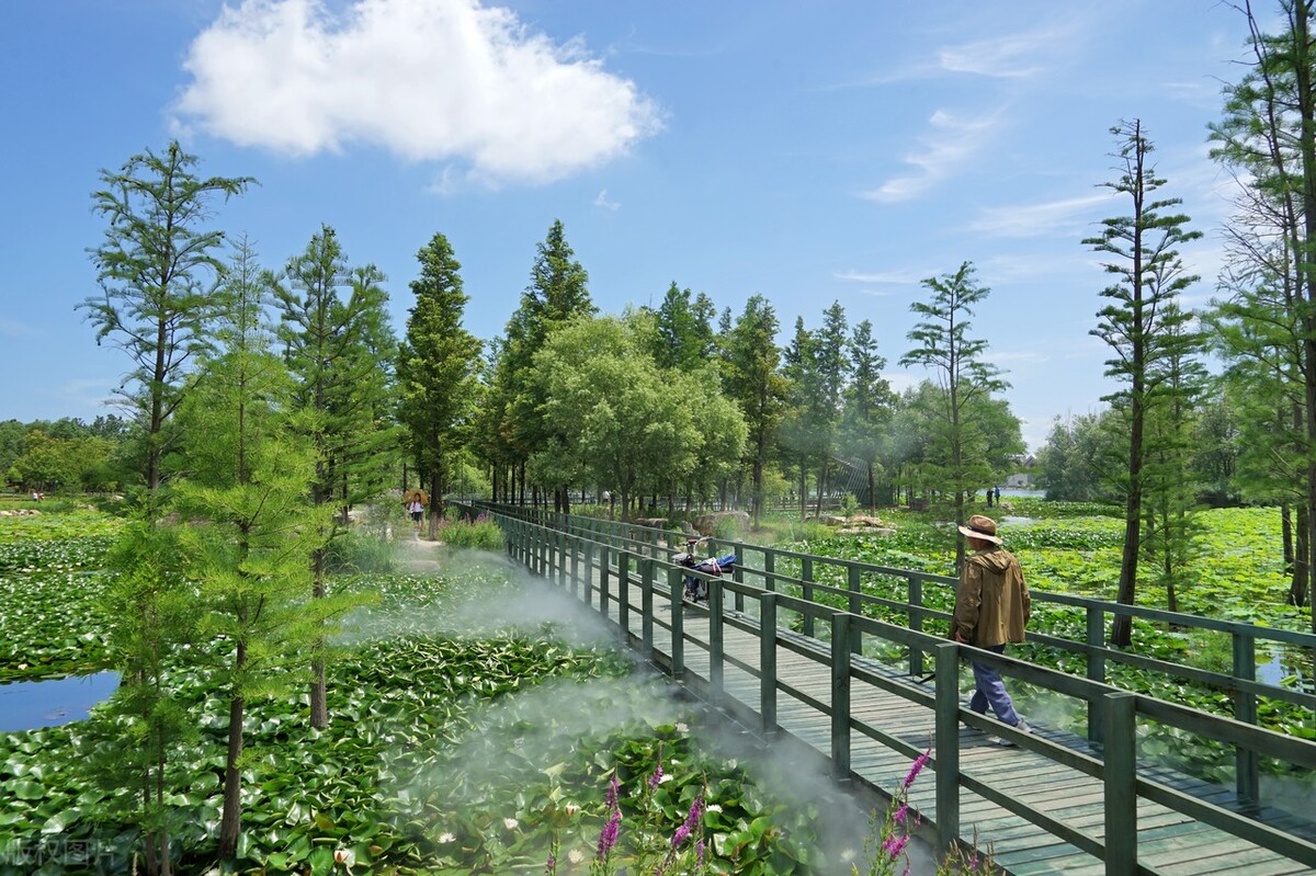 未来的烟台大城市,烟台市的未来