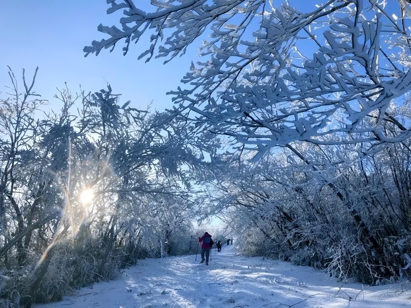 还剩10天!如何安全有仪式感地迎接元旦?这14条周边短线值得一去