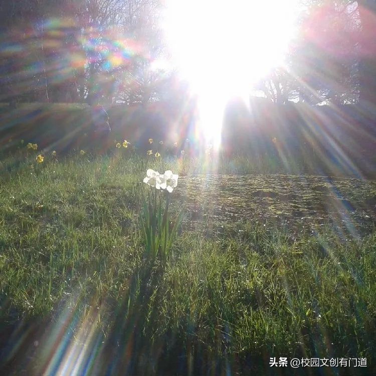 校徽创意理念,学校校徽的图片和设计理念说明