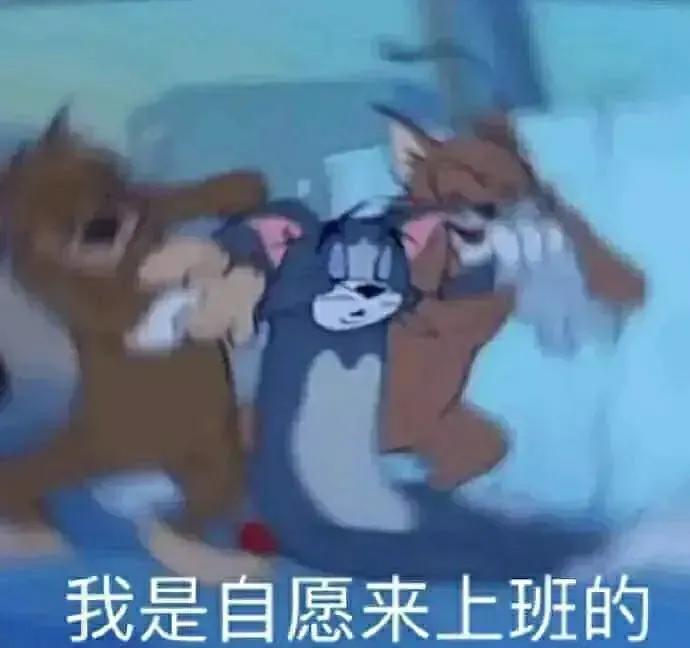 表情包我是自愿上班的,我是自愿上班的表情包原图