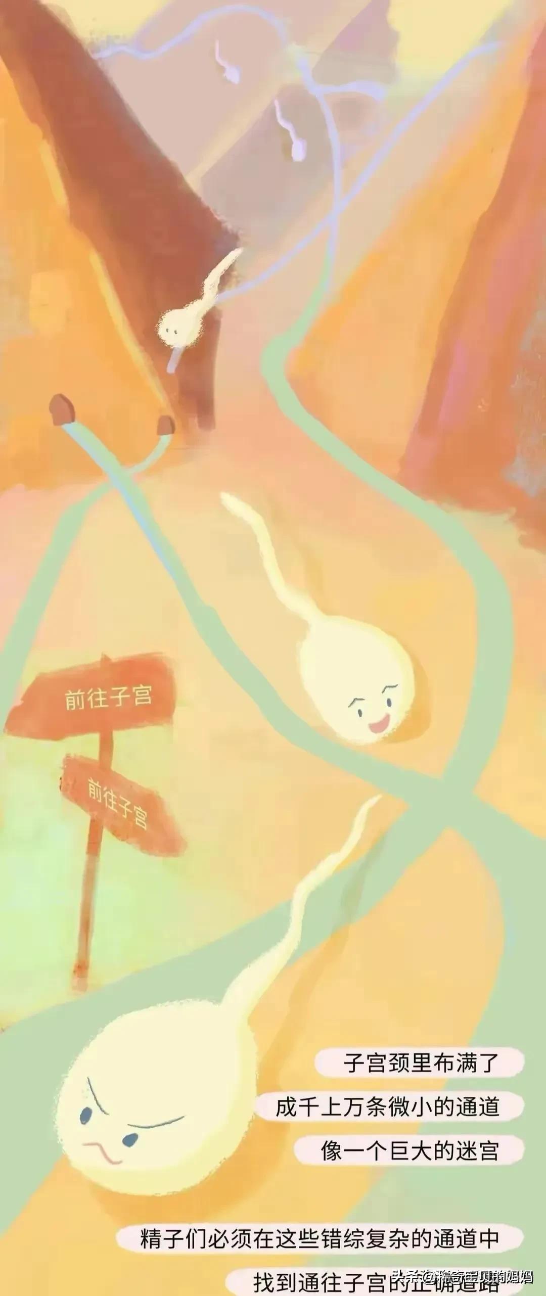 科普知识小蝌蚪怎么成长为青蛙,小蝌蚪动画的成长过程