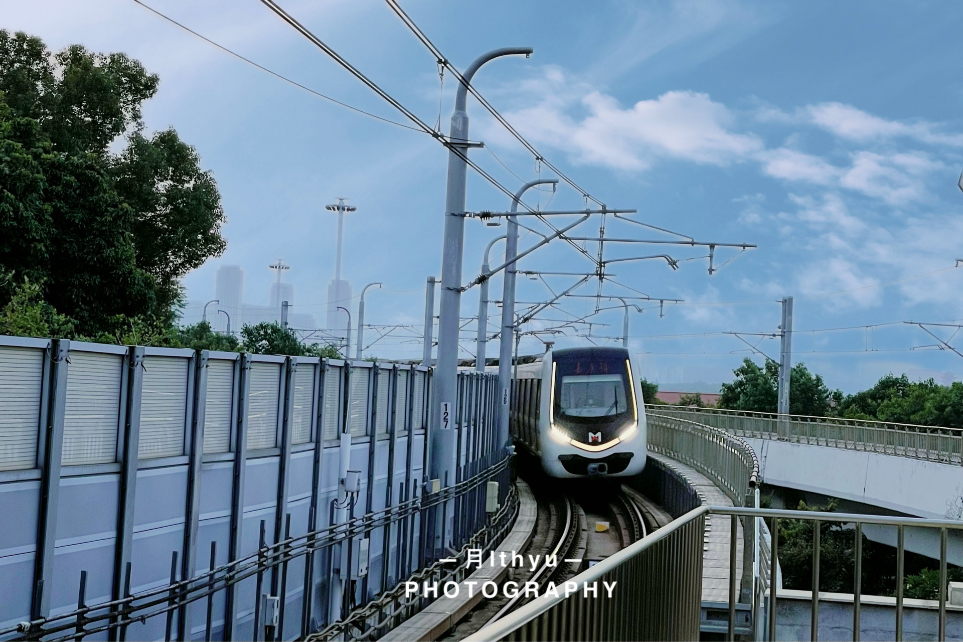 石斑鱼炖羊肉,红烧石斑鱼羊鲜