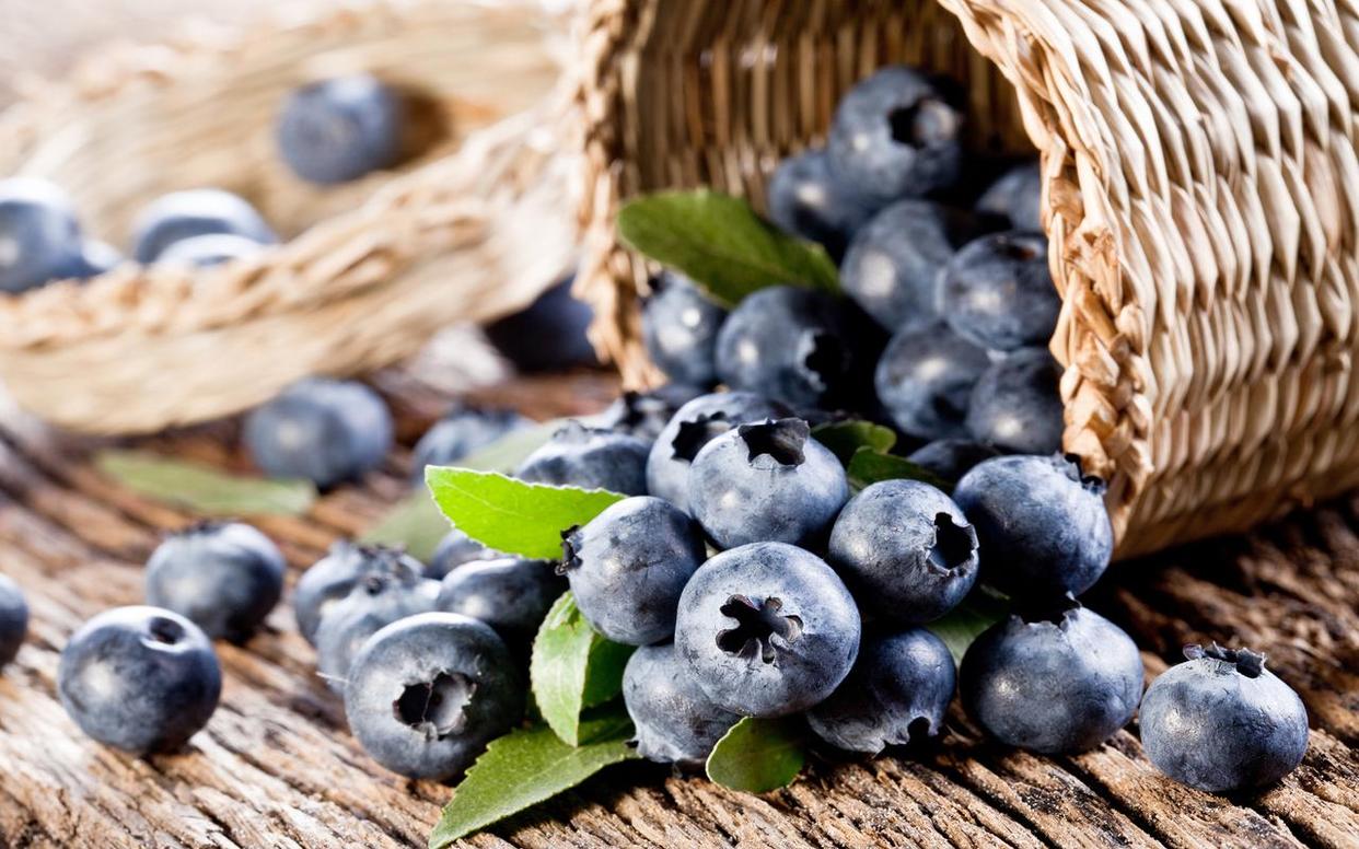 每天吃一盒蓝莓会胖吗,每天一盒蓝莓是否有助于视力