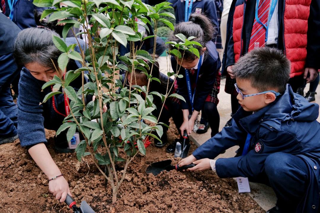 卷不动的现在，拿什么面对未来？这位校长说，给了孩子这三种知识就不用怕