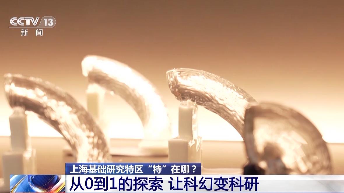 高质量发展调研行丨鼓励科学家勇闯“无人区”上海基础研究特区“特”在哪？