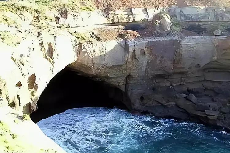 四川女留学生被澳洲姨夫杀害,四川女留学生被澳洲姨父虐待致死