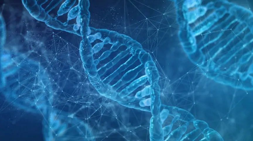 宏基因组二代测序技术,中国宏基因组学第二代测序