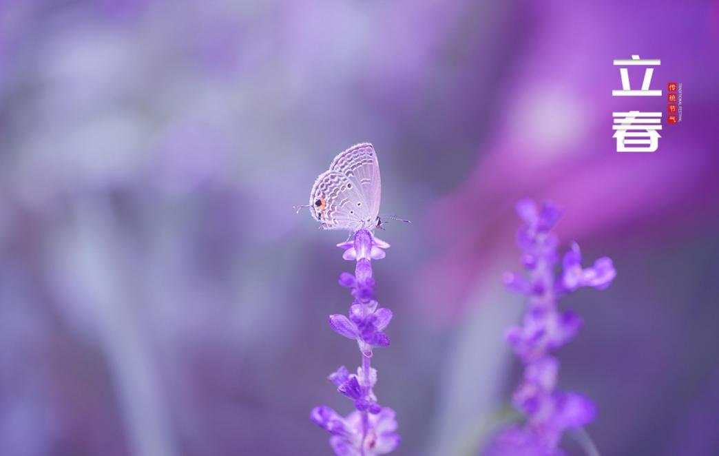 关于立春的古诗词名句,10首立春诗词送你最美的祝愿