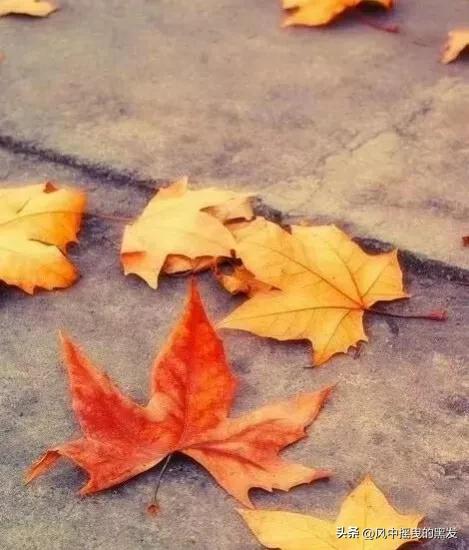 一天学一个成语一年级,一天学一个二字古词