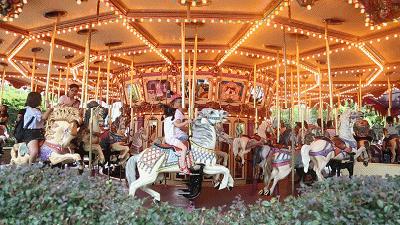 遇龙河里遇见美景,遇龙河每一段的风景