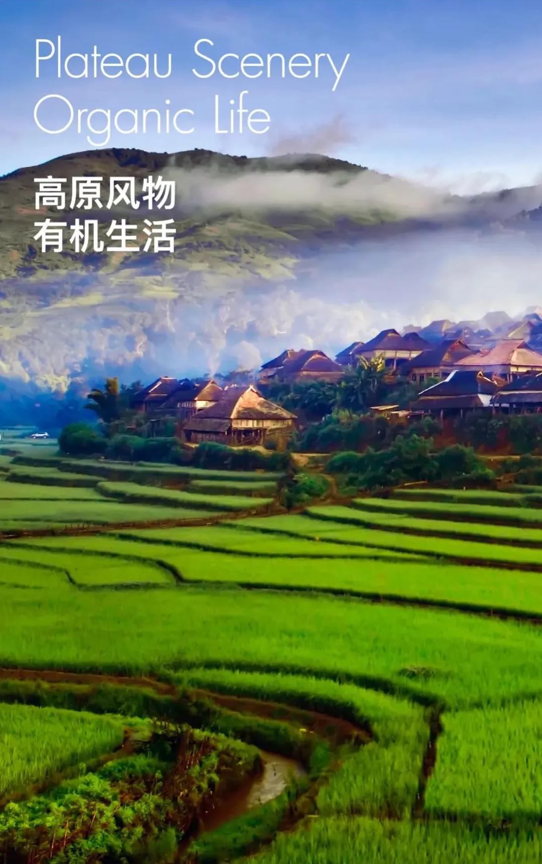 大道恒美×睿谷生态：大品牌战略，赋新生活方式营销