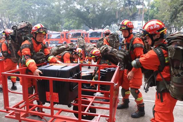 东航波音737飞机失事坠毁事件,东航波音737飞机失事原因