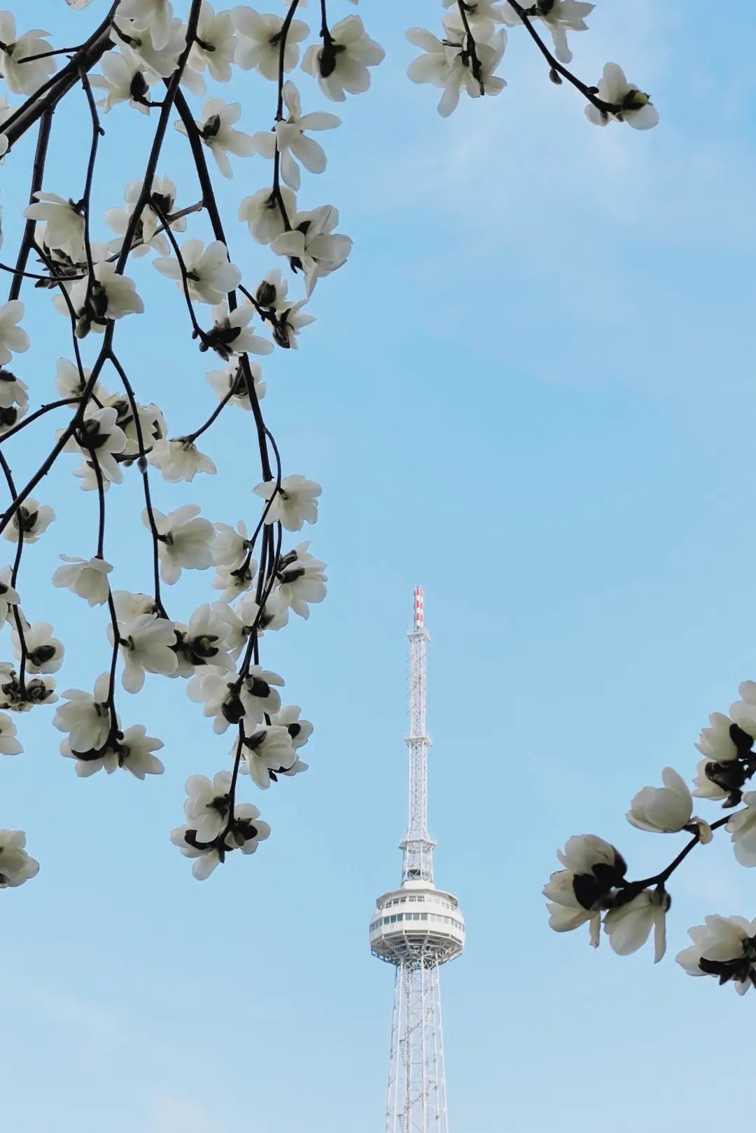 错过了一个秋天,错过了一个春秋