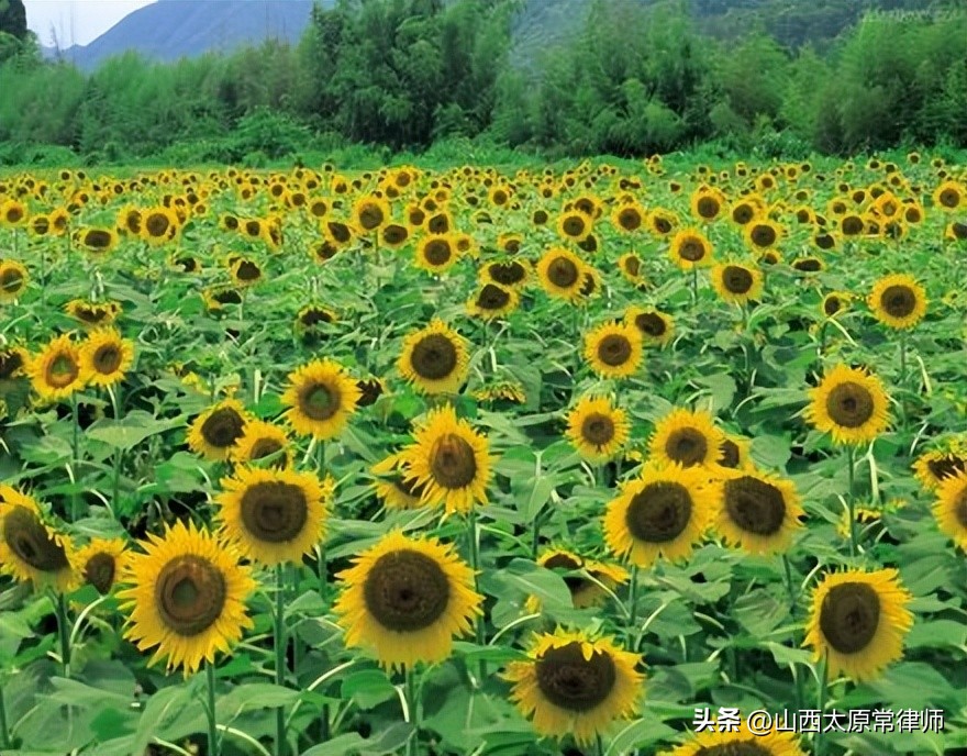 刑事案件如何撤销案件,刑事案件如何附带民事诉讼