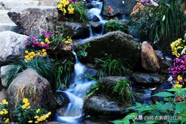 她做保姆这些年之豪门生活完整版,她做保姆的这些年豪门生活之十一
