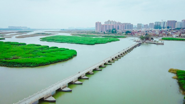 泉州成为宋元贸易中心的原因,泉州在宋代为什么这么繁华