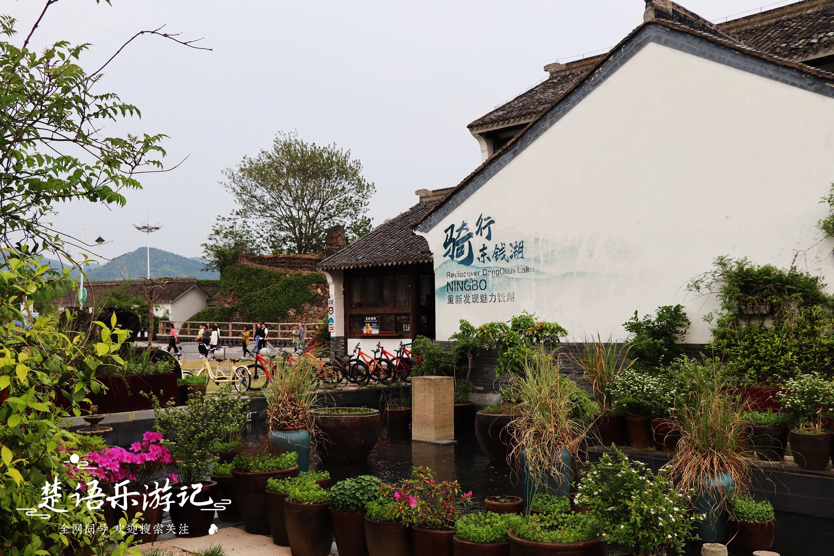 宁波湿地公园好玩吗,宁波湿地公园