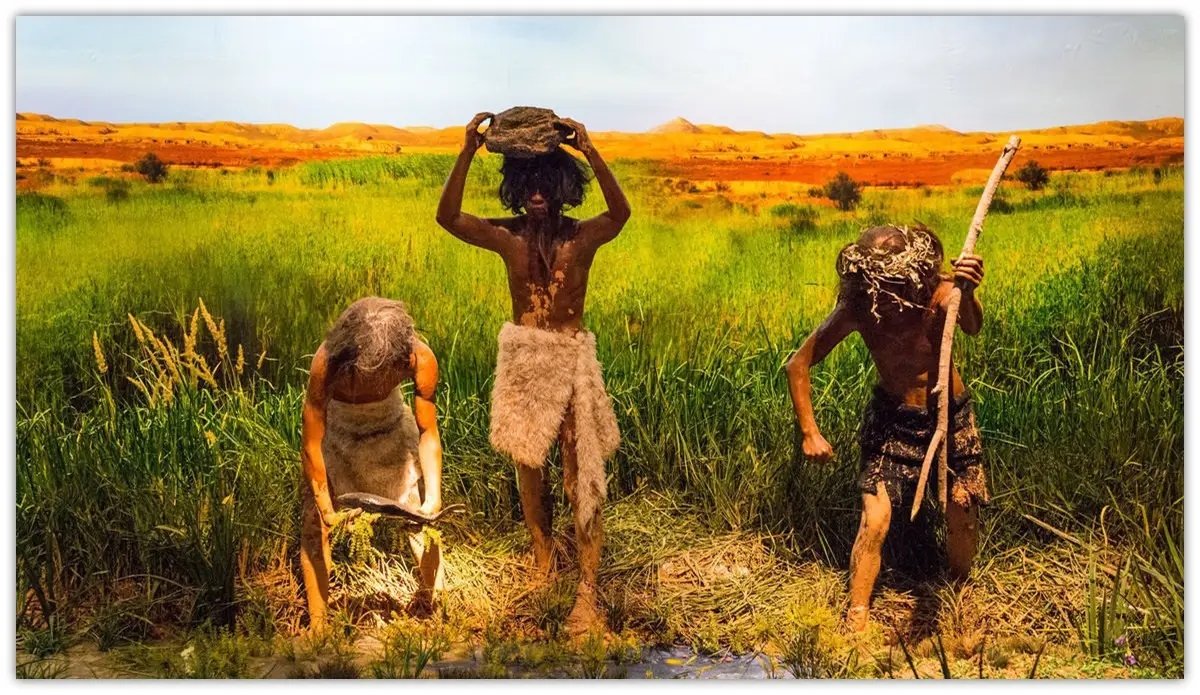 海鱼比淡水鱼好在哪里,为什么海鱼比淡水鱼好吃