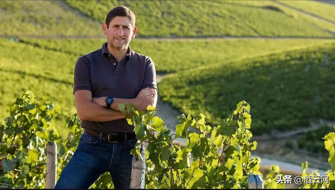 稀罕事儿，拉菲的老板从拉图的老板那儿收购了一家勃艮第酒庄