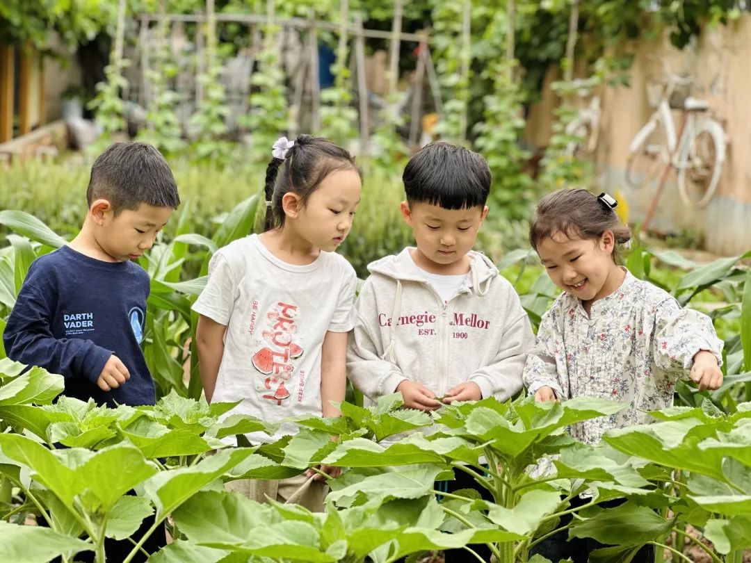 倾听儿童相伴成长主题墙幼儿园,倾听儿童相伴成长幼儿园小班视频