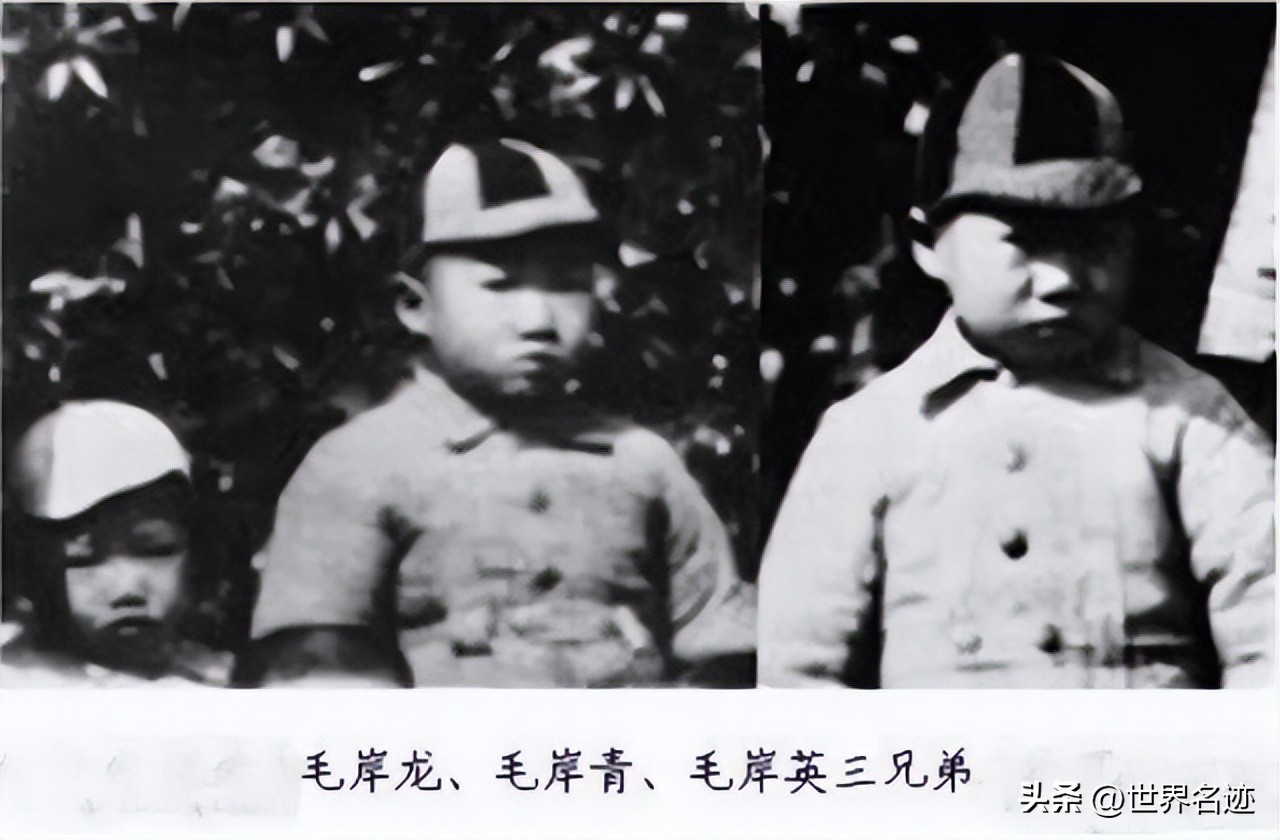1949年毛岸青到毛主席身边，警卫问他：*青江**妈妈好吗？其作何回答