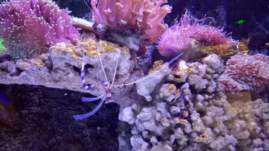 最新大连老虎滩旅游攻略,大连旅游攻略大连老虎滩海洋公园