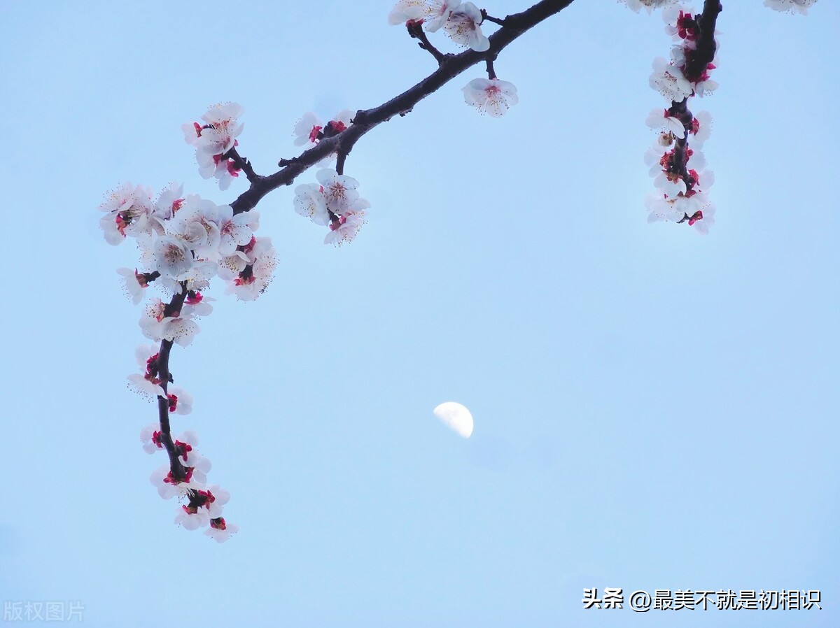 唯美人生现代诗简短,现代诗朗诵视频面朝大海春暖花开