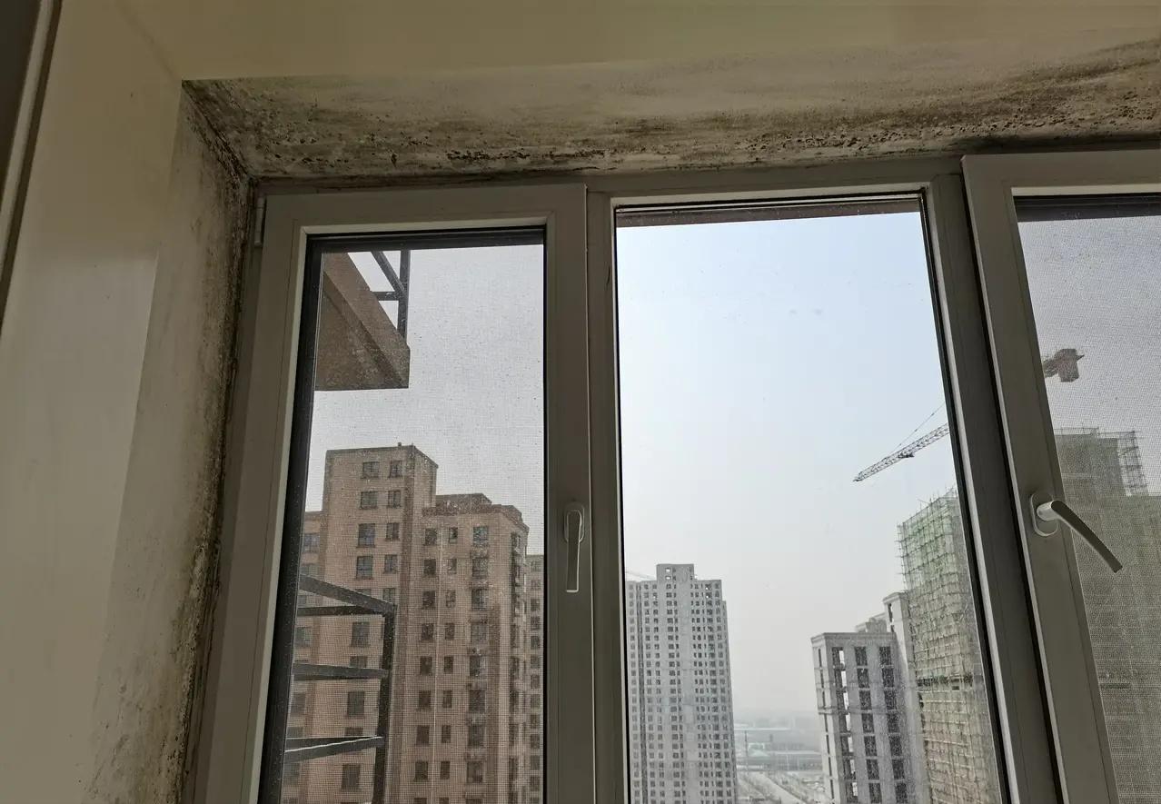 屋里潮湿起霉斑怎么去除,潮湿发霉怎么快速消除霉点