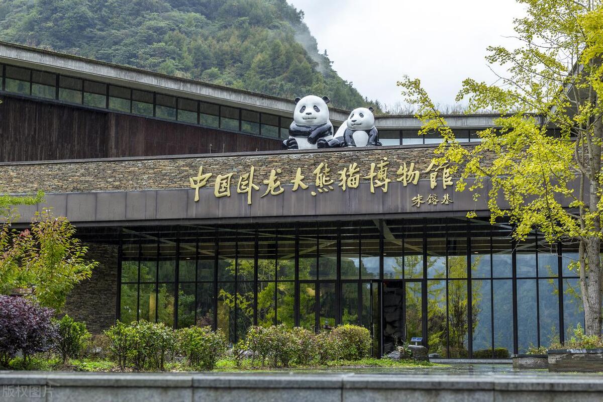 大运会探索成都的魅力之旅,成都大运会介绍成都美景