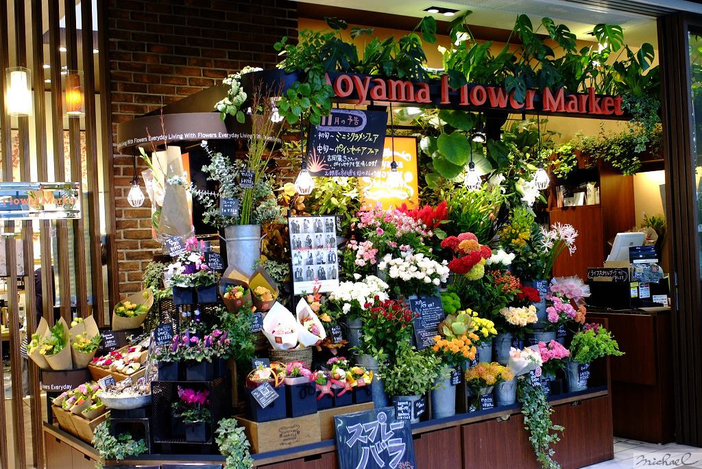 买花最好的渠道推荐,卖花的买花渠道