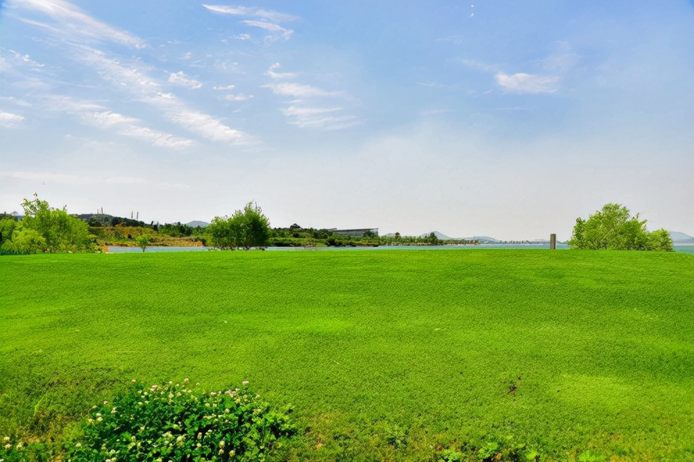 莱芜雪野有哪些看点,人说山西好风光阳泉篇