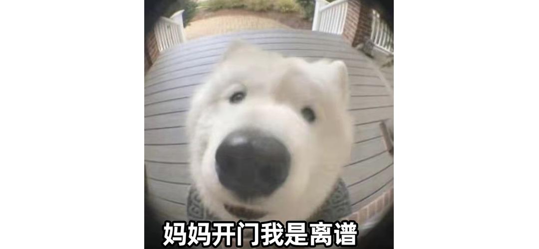 低价中成药伟哥有用吗,高价卖正品壮阳药被查什么后果