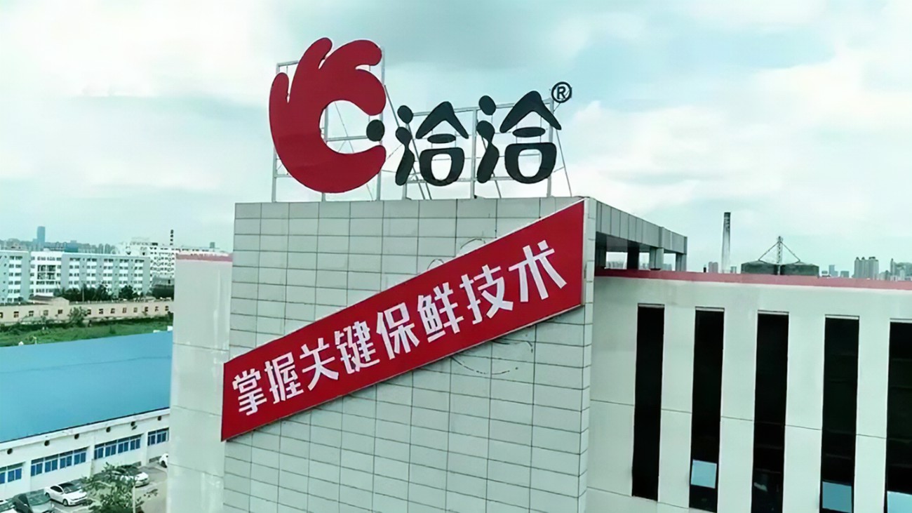 洽洽瓜子陈先保身价,洽洽瓜子创始人陈保先简历