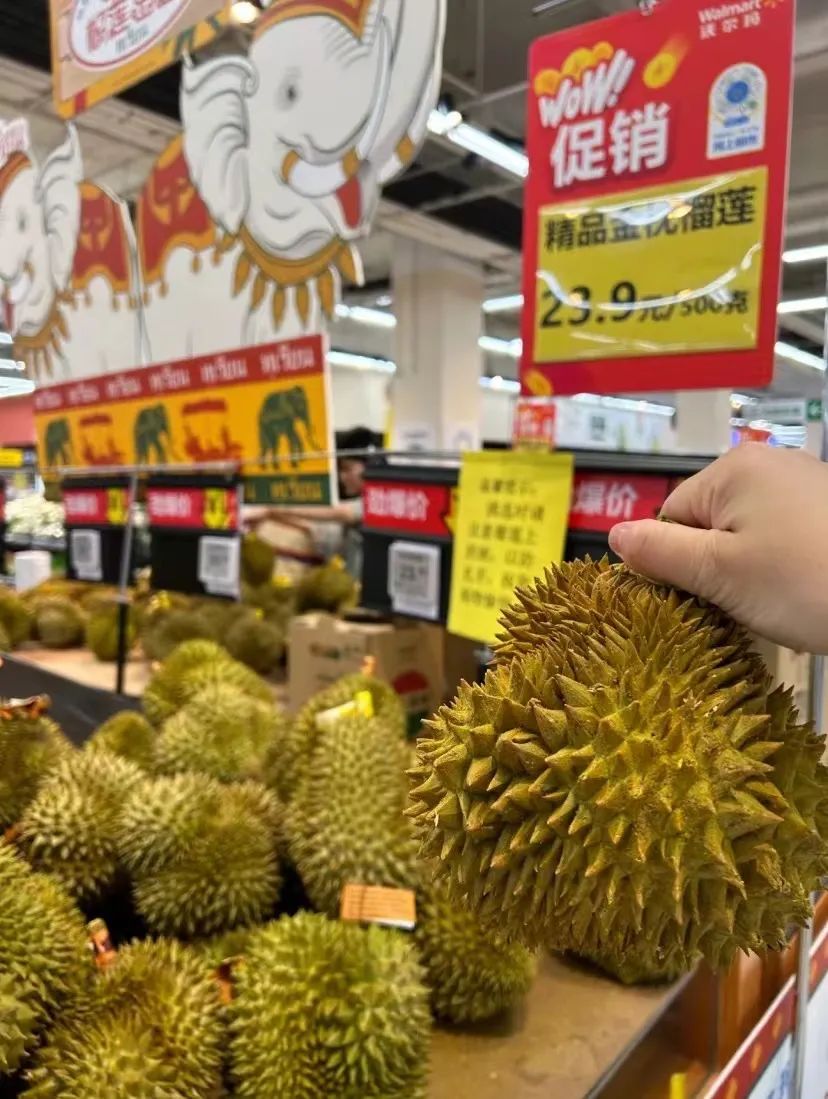 如何精准挑到报恩榴莲,到底怎么能精准挑到报恩榴莲