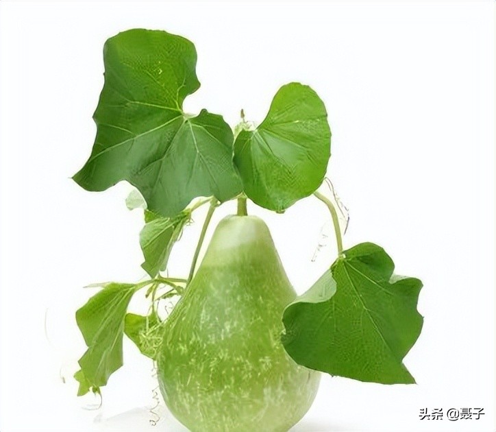 童年记忆宝葫芦,葫芦小金刚国漫童年回忆分享