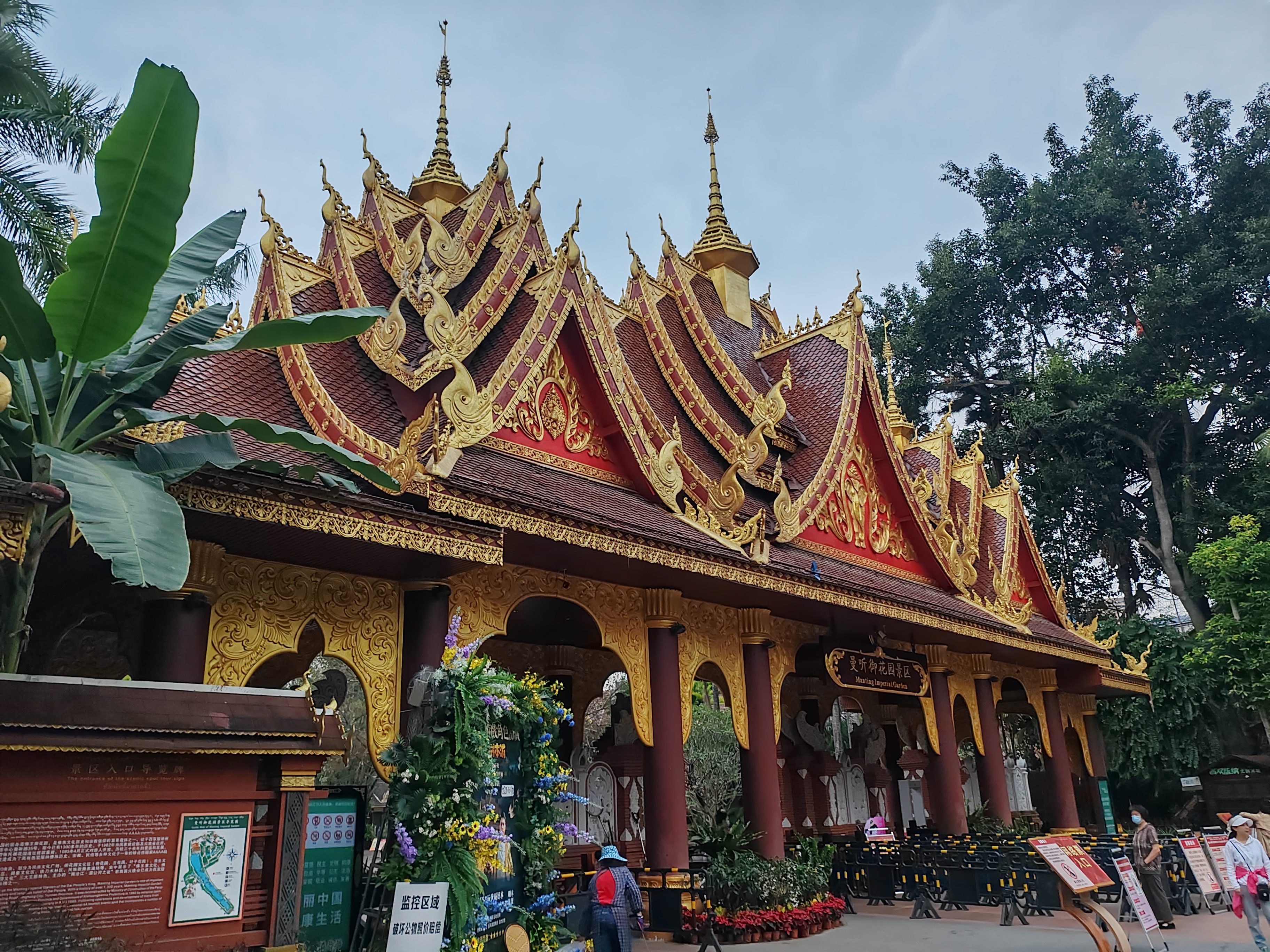 西双版纳曼听园攻略,云南西双版纳打卡曼听公园