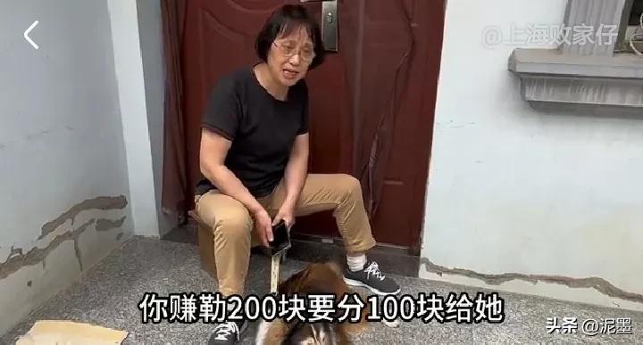 上海败家仔找老妈拿带货押金，却被质疑女友是剧情