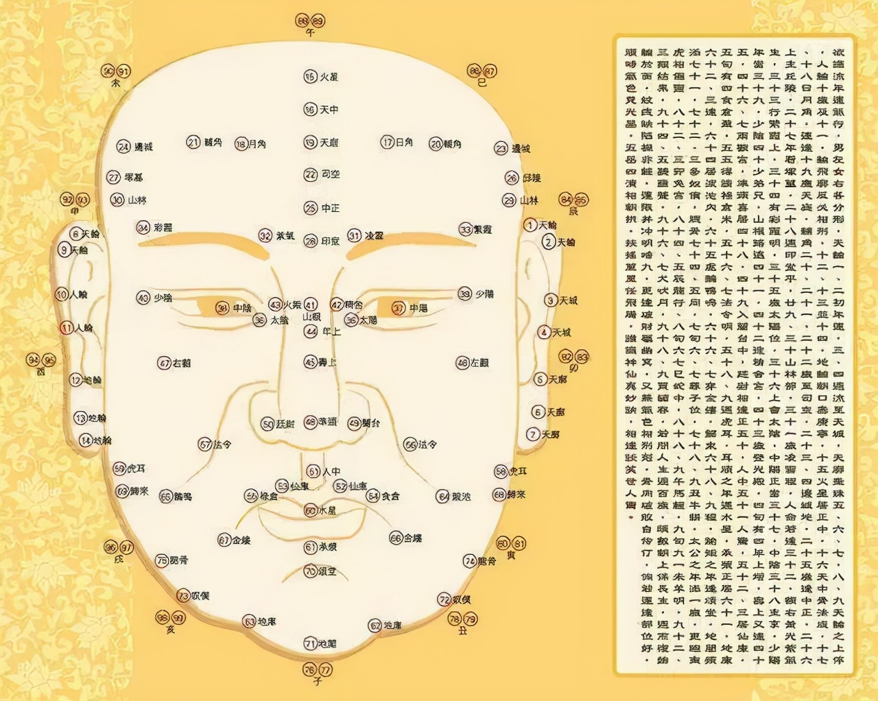一罗穷二罗富可信吗,一螺穷二螺富的说法对吗