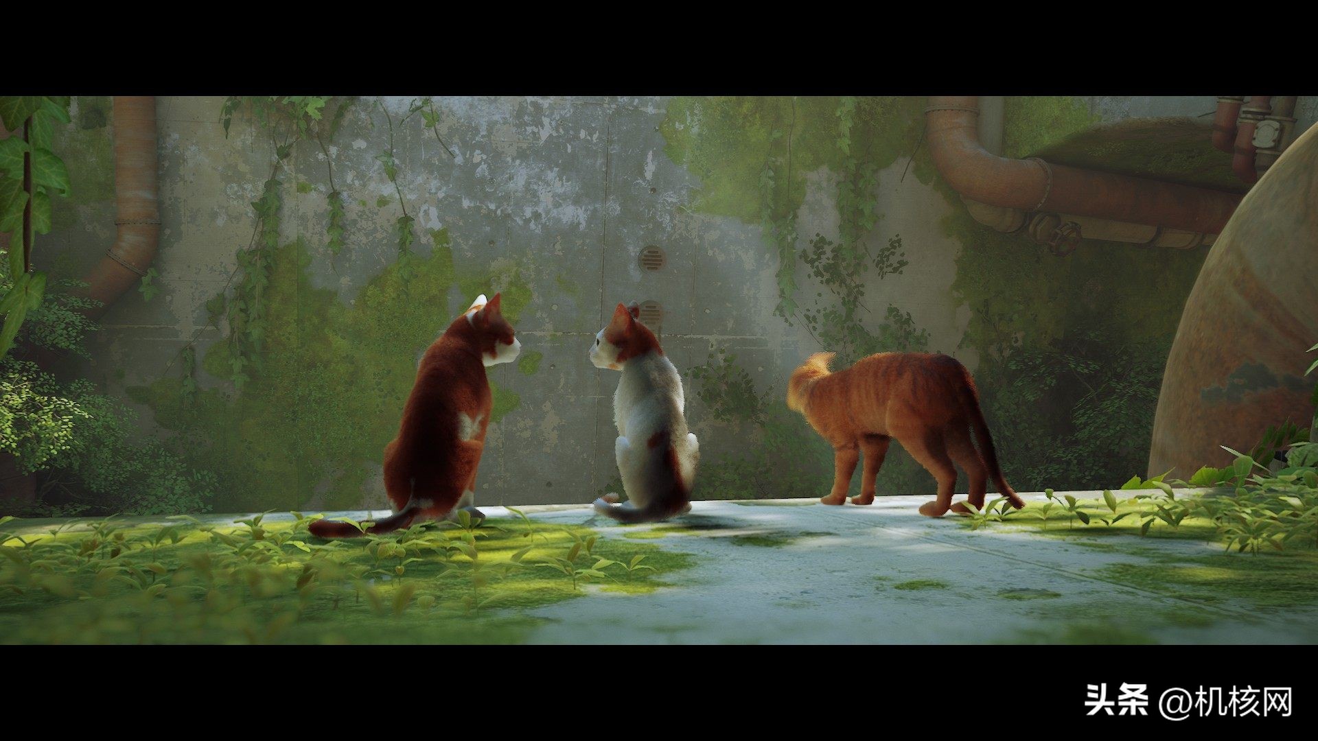 璧涘崥搴熷,璧涘崥搴熷鐑熼浘