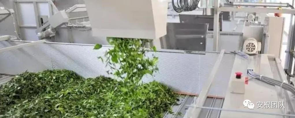 茶叶贸易与世界历史的关系,世界茶叶贸易境况