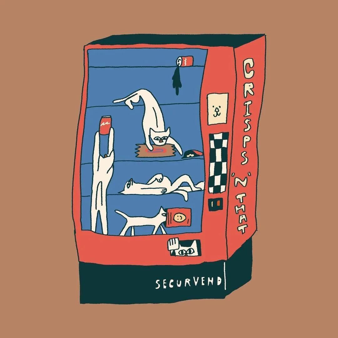 北上广没有养猫自由,四五线爸妈「接盘」