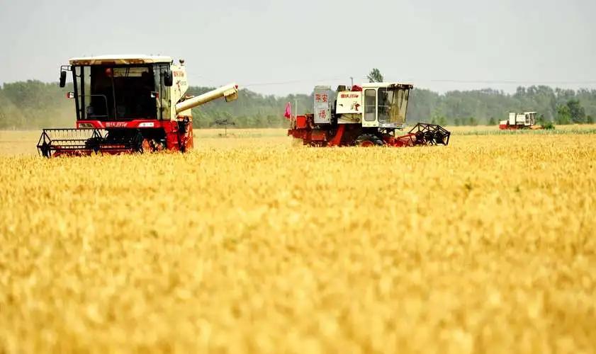 淄博并不只有烧烤,淄博市不止有烧烤